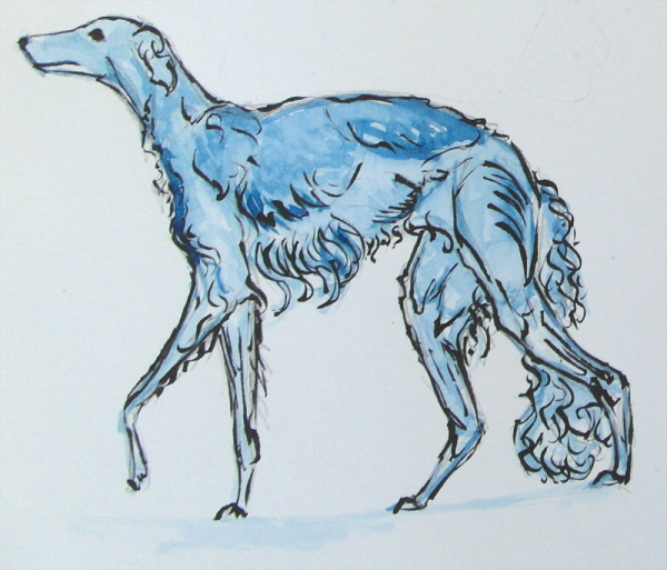 Русская псовая борзая анатомия