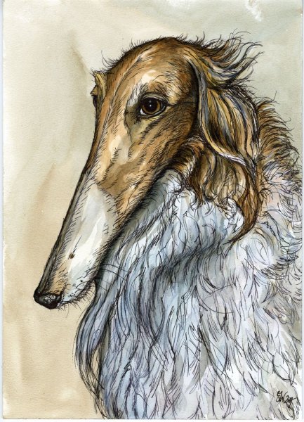 Борзая Грейхаунд хаунд арт