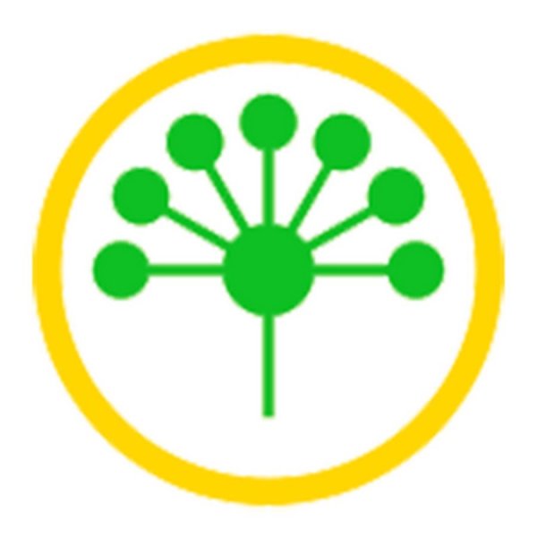 Рисование «цветок курая»