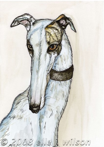 Эскиз борзая