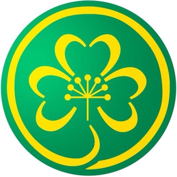 Символ Башкирии цветок курая