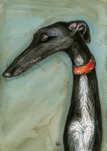 Борзая Грейхаунд хаунд арт