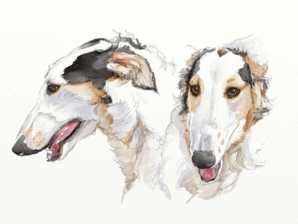 Стилизованные Борзые в живописи стилизованные портреты