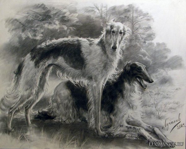 Дмитрий Лучанов художник Борзые картины