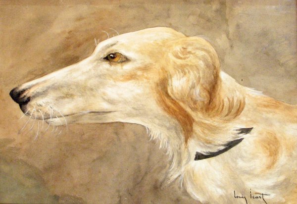 Луи Икар борзая