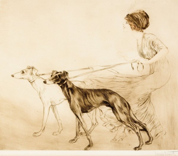 Русская псовая борзая Эрис