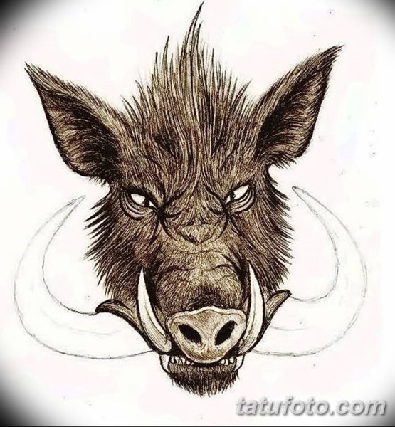 Кабан набросок