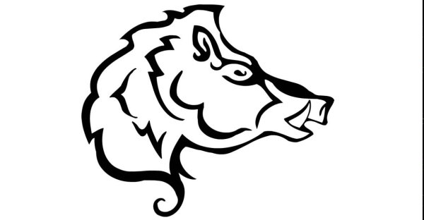 Свинья карандашом