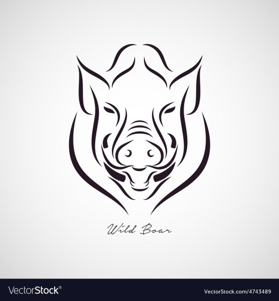 Кабан эскиз