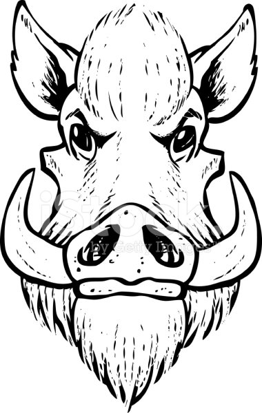 Рисунок Кабанья голова