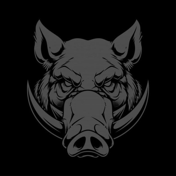 Морда кабана эскиз