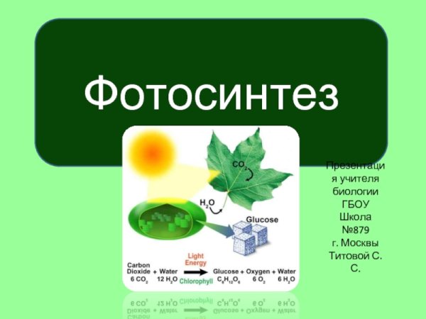 Фотосинтез 10 класс биология