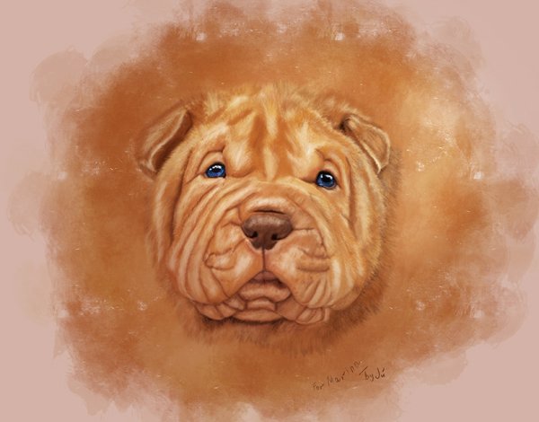 Рисунки американского шарпея