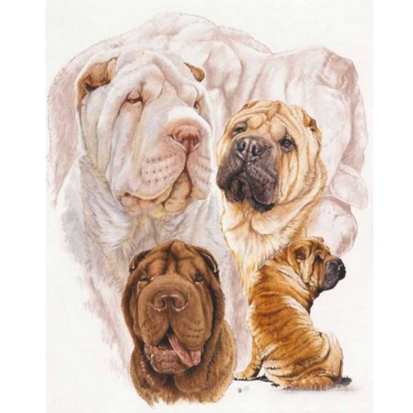 Шарпей щенки раскраска