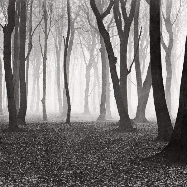 Альберт Ренгер-патч