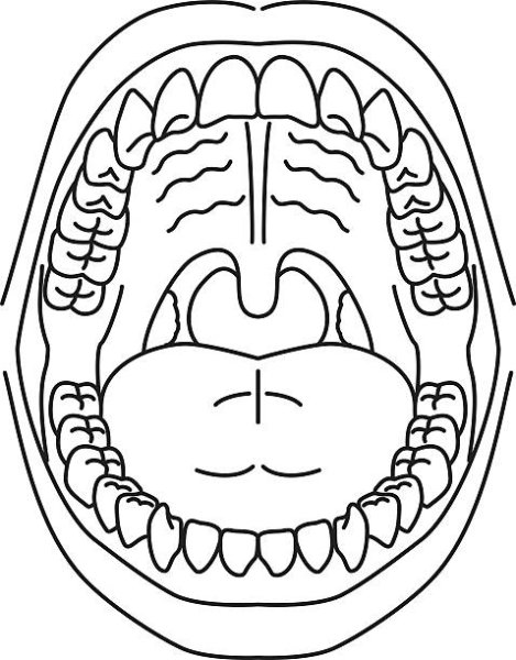Челюсть раскраска для детей