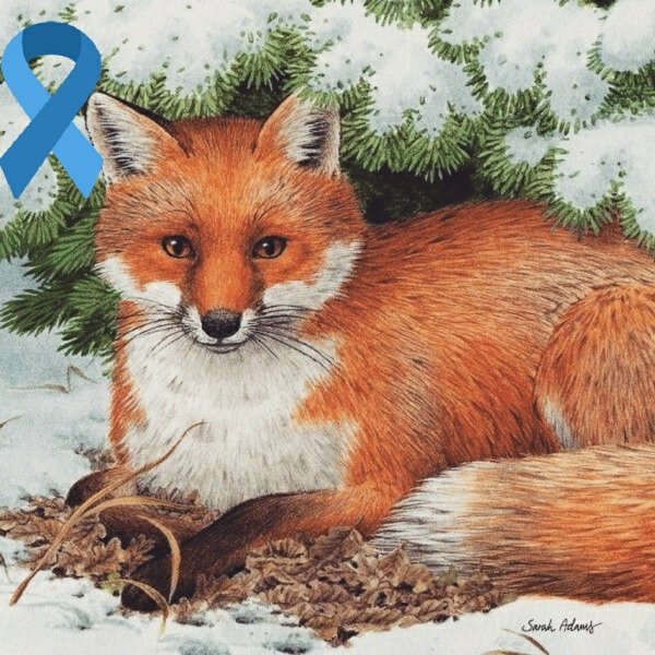 «Лиса в лесу»