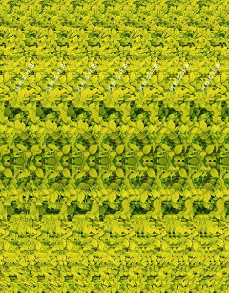 Стереограммы Хидден 3д