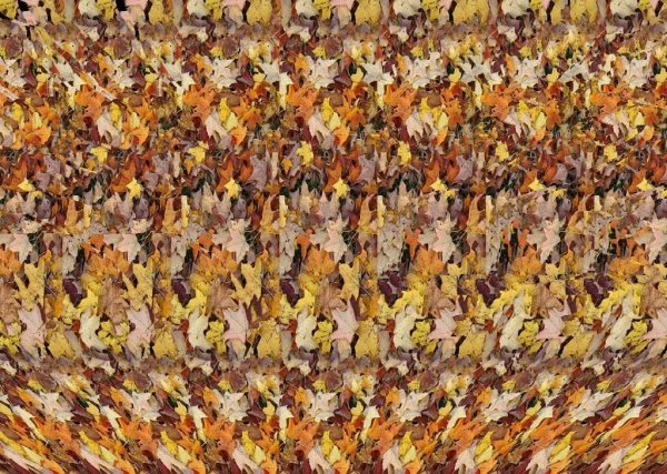 Кристофер Тайлер стереокартинки