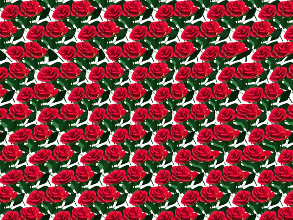 Стереограммы и стереокартинки