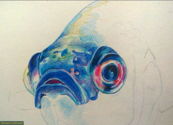 Нарисовать глаз рыбы