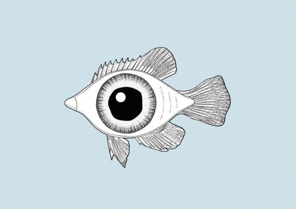 Глаза для поделок