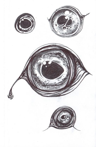 Мистические рыбы