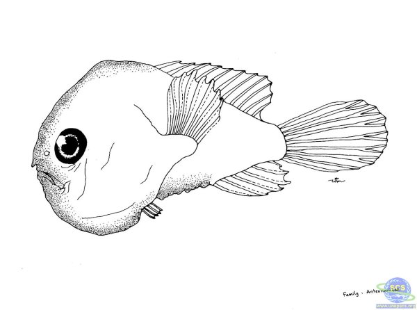 Необычные эскизы