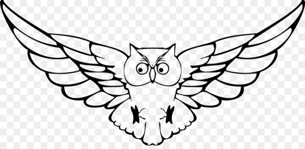Контур Совы с расправленными крыльями