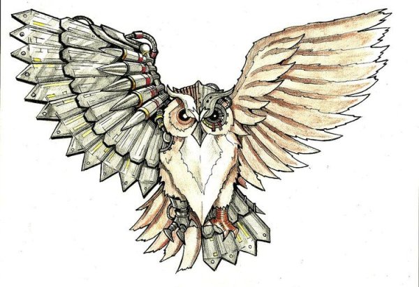 Сова с раскрытыми крыльями