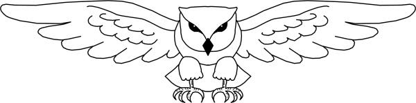 Крылья Совы