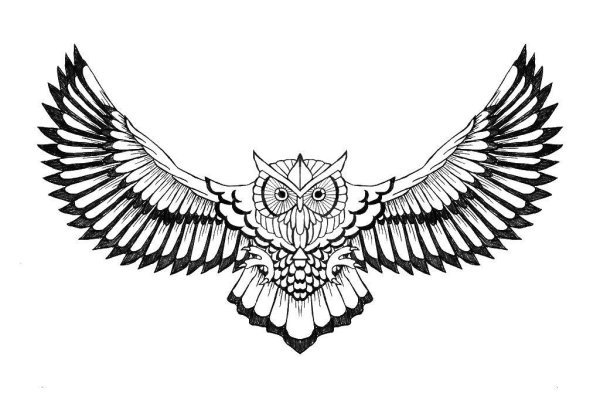 Тату Сова