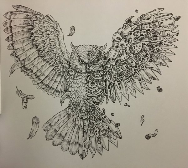 Тату Сова с крыльями