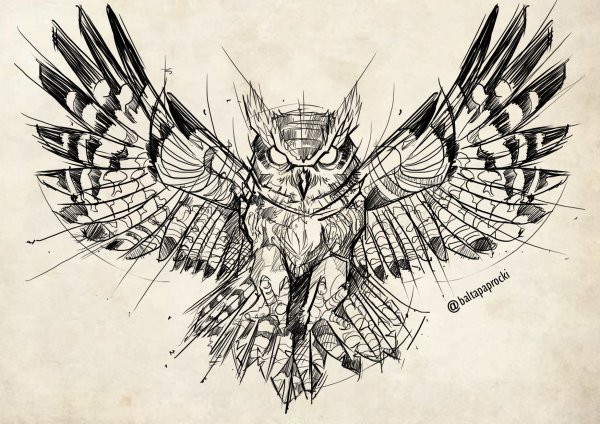 Сова с расправленными крыльями эскиз