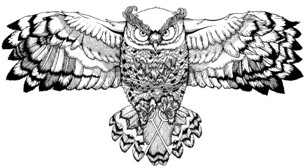 Сова с расправленными крыльями эскиз