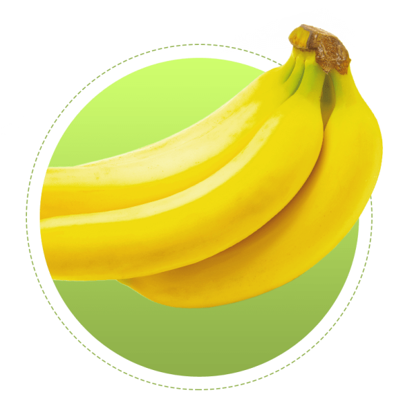 Связка бананов вектор