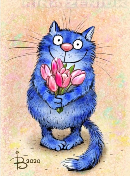 Коты Ирины Зенюк 2020