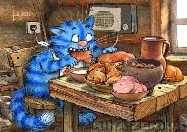 Коты Ирины Зенюк 2020