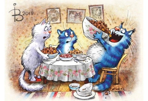 Коты Ирины Зенюк 2021