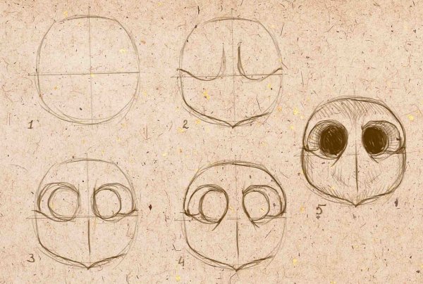 Глаза медведя