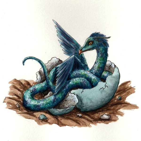 Оккамий Гарри