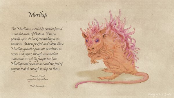 Муртлап Гарри Поттер