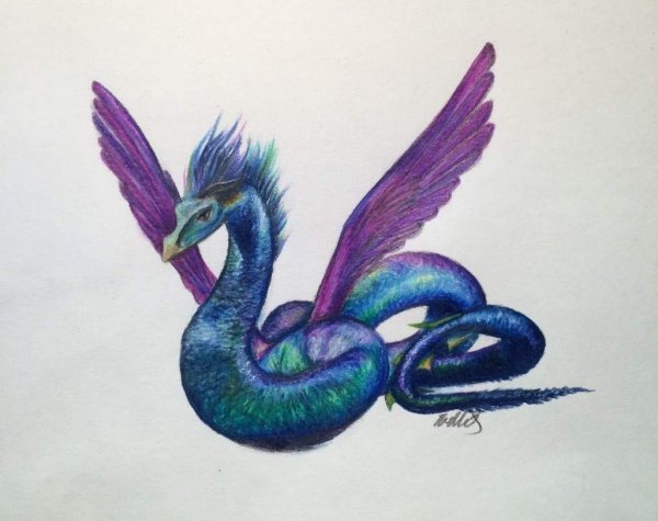 Occamy Гарри Поттер