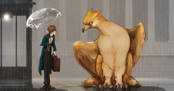 Ньют саламандер и птица-Гром