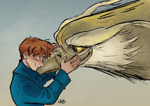 Ньют саламандер в Гарри Поттере