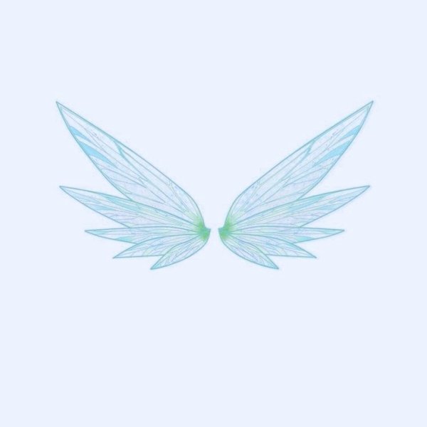 Крылья феи прозрачные
