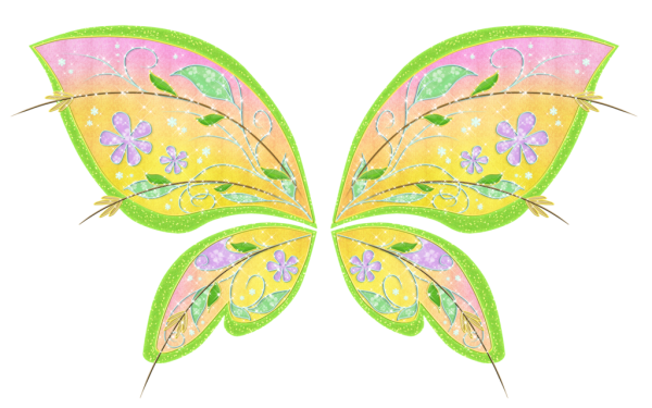 Круглые Крылья феи мультяшные