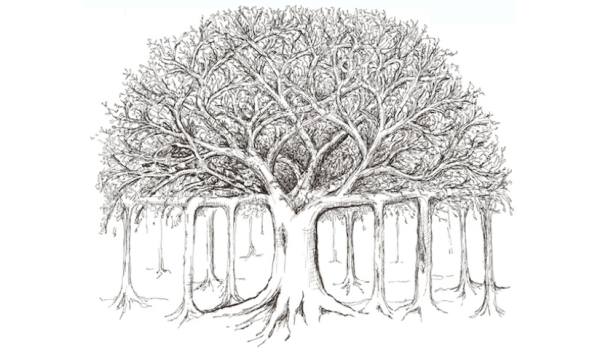 Корни подпорки