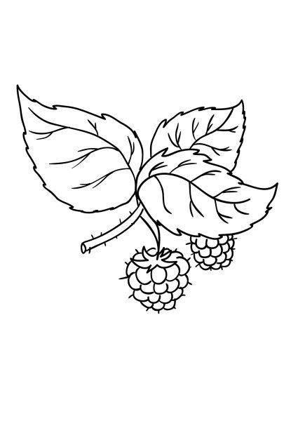 Листок малины