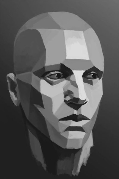 Лицо по плоскостям